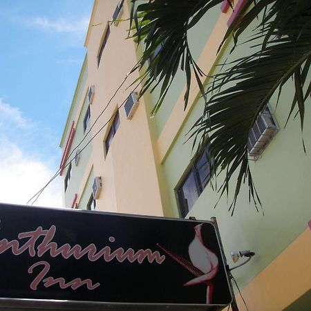 Anthurium Inn Lapu-Lapu City Bagian luar foto